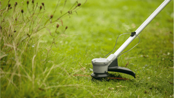 Bosch AdvancedGrassCut 36V-33 - battery grass trimmer