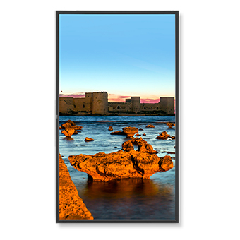 NEC 55"  X551UHD 16:9 S-IPS 3840X2160