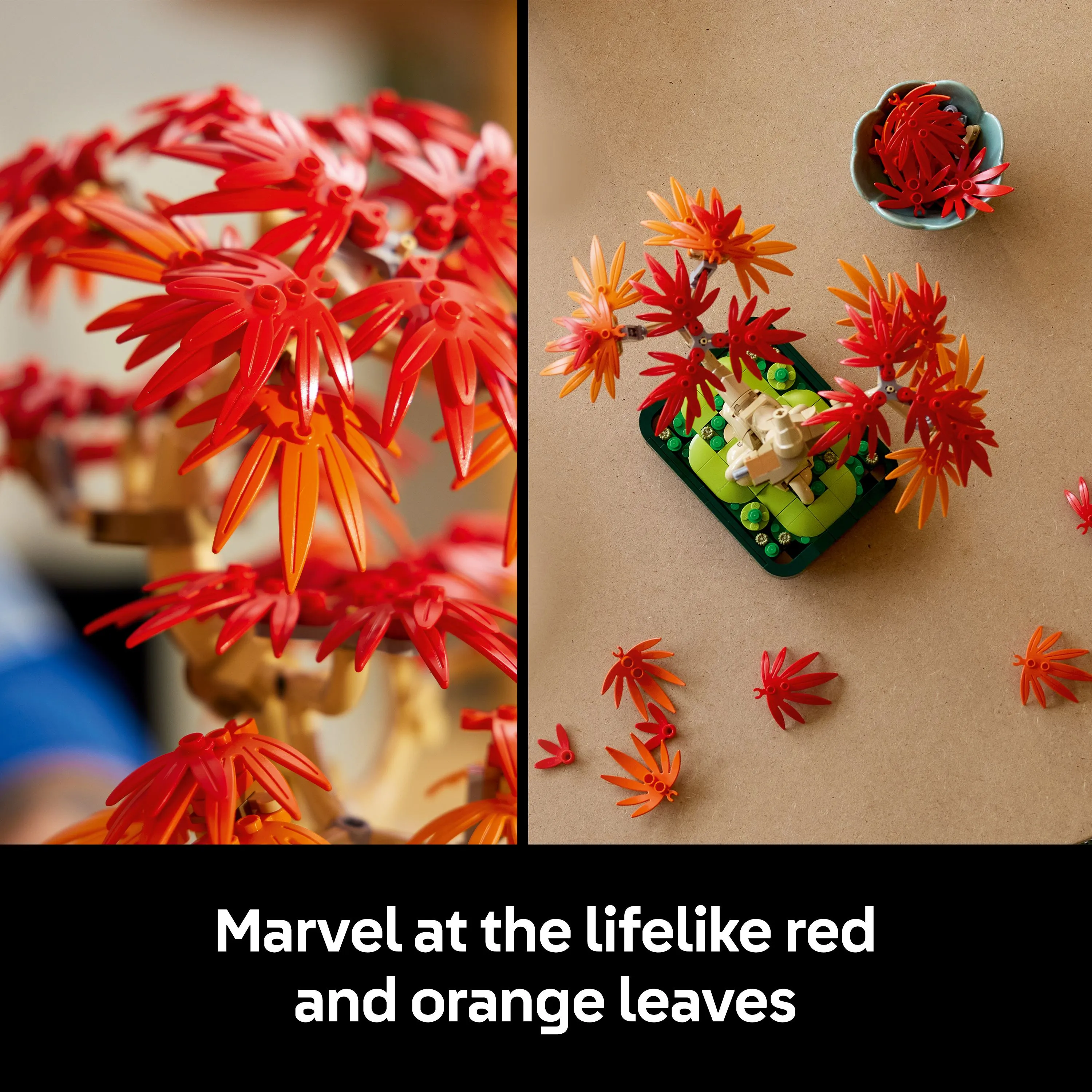 LEGO Icons Punalehtinen japaninvaahtera-bonsaipuu 10348