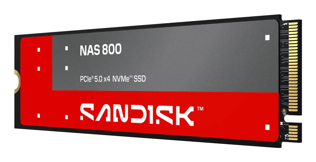 SanDisk NAS 800 NVMe PCIe 5.0 960GB M.2 2280 SSD