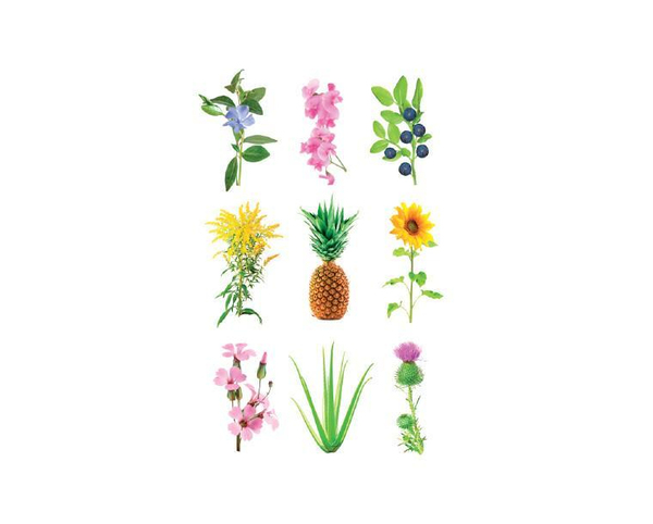 Click and Grow Smart Garden Refill 3-pack - Experimental