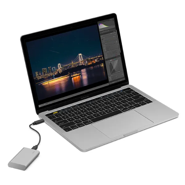 Lacie Portable 1 Tt USB-C -ulkoinen SSD, Hopea