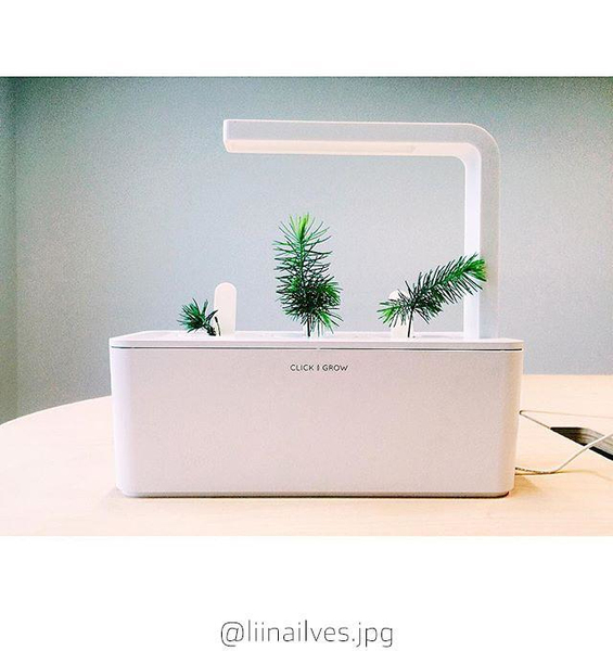 Click and Grow Smart Garden Refill 3-pack - Experimental