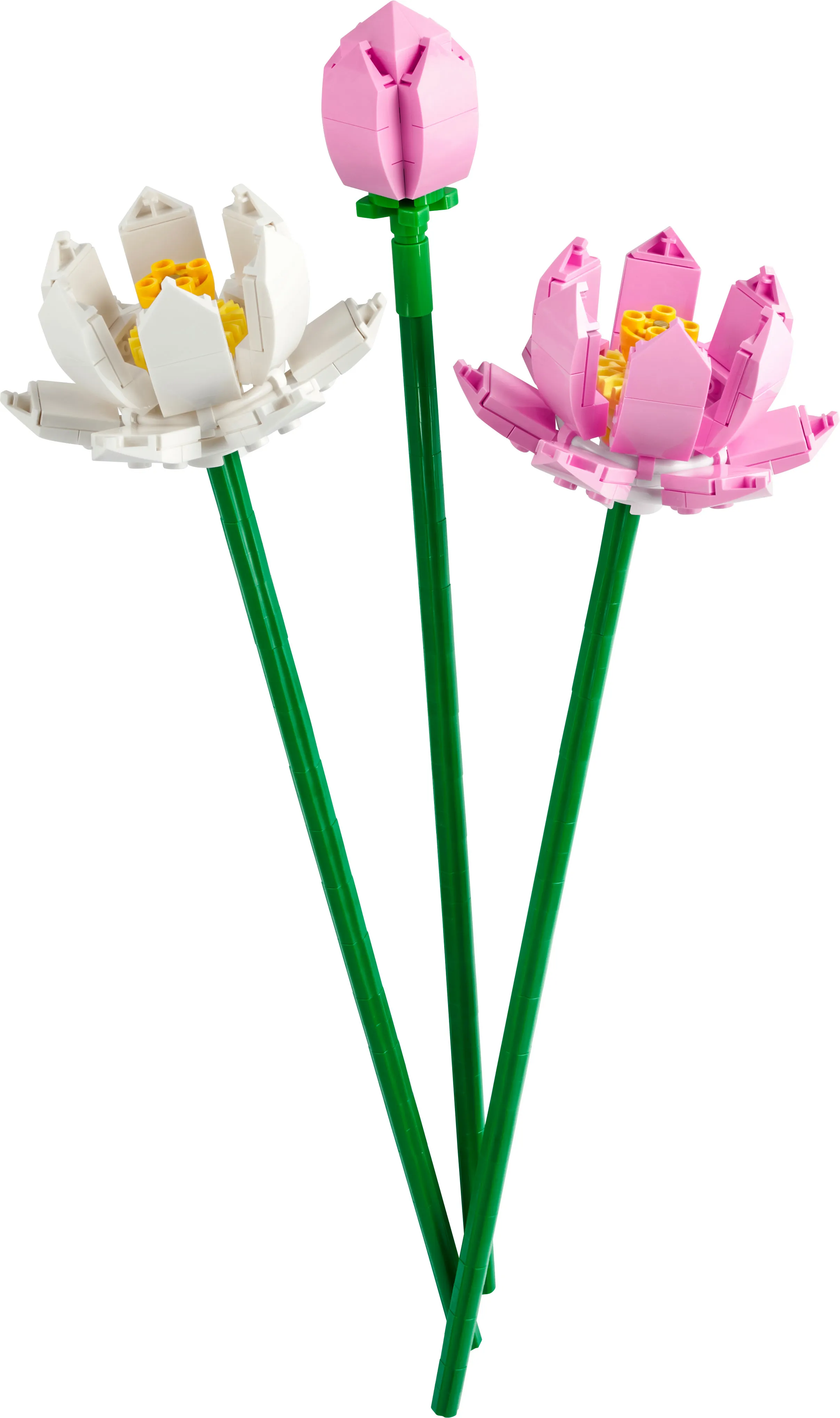 LEGO Botanicals Lotus Flowers 40647 LEGO Botanicals Lotus Flowers 40647