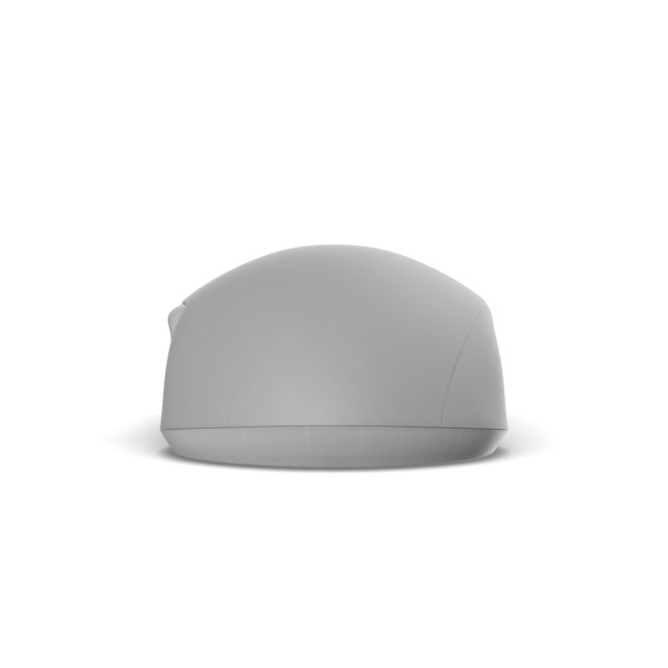 Endgame Gear XM2w 4K Wireless Gaming Mouse, White Frost