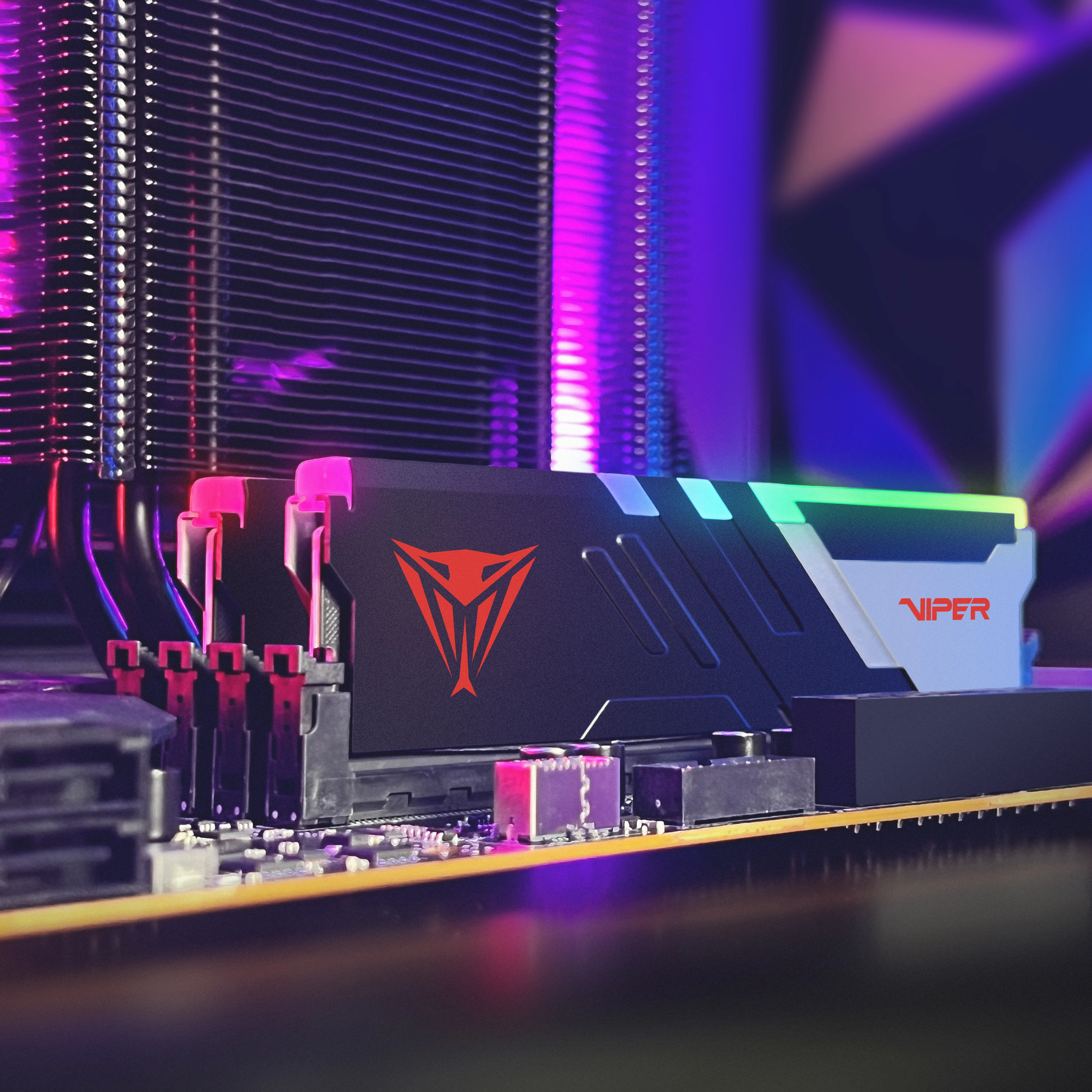 Patriot Viper Venom RGB 32 GB (2 x 16 GB) DDR5 6600 MHz, CL34 - minne Patriot Viper Venom RGB 32 GB (2 x 16 GB) DDR5 6600 MHz, CL34 - minne