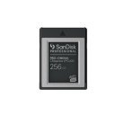 SanDisk Professional PRO-CINEMA 256 Gt CFexpress Type B VPG400 -muistikortti, musta