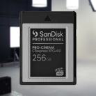 SanDisk Professional PRO-CINEMA 256 Gt CFexpress Type B VPG400 -muistikortti, musta