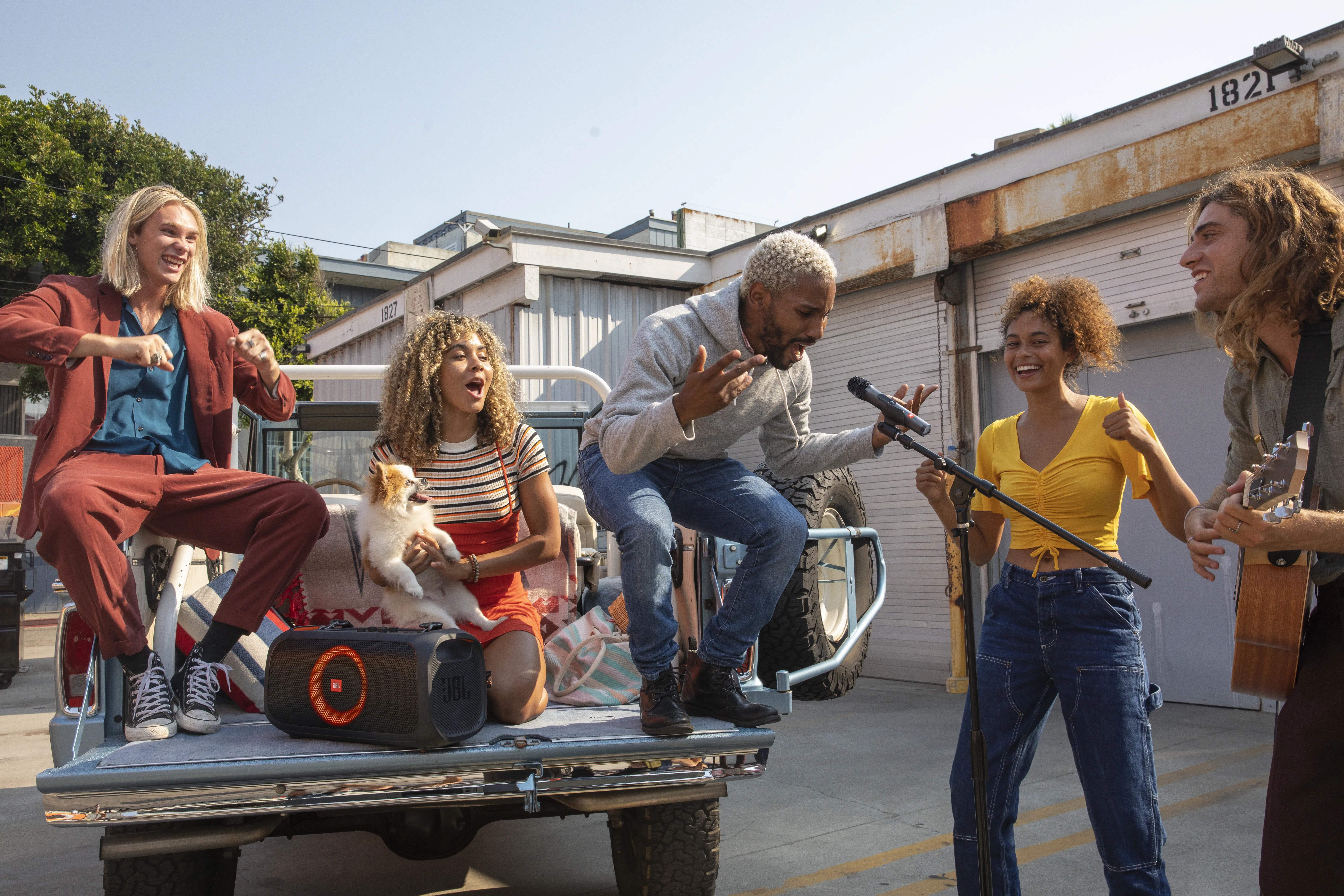 JBL Wireless Microphone Set