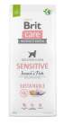 Brit Care Dog Sustainable Sensitive Insect & Fish, Dry food for dogs, Adult, 12kg