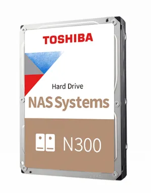 BULK N300 NAS Hard Drive 10TB 512MB