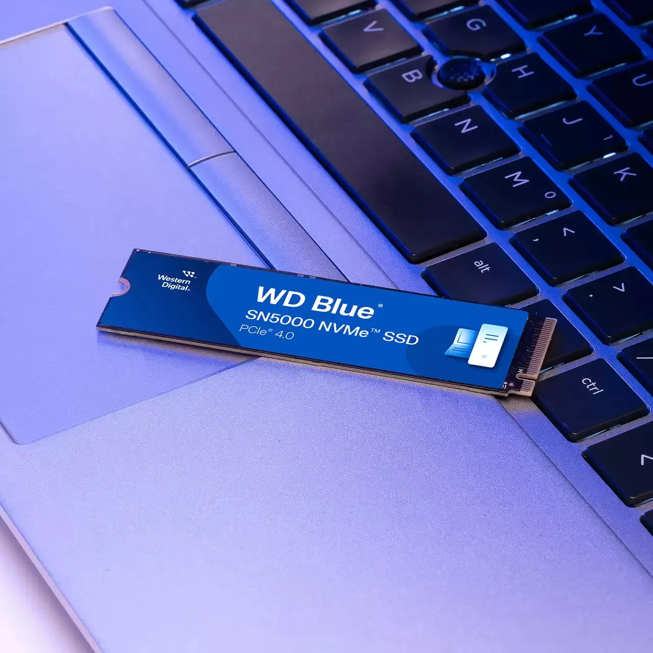 WD Blue SN5000 500 GB, PCIe 4.0, M.2 -SSD-levy