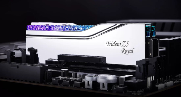 G.SKILL Trident Z5 Royal RGB 48GB (2 x 24GB) DDR5 8000 MHz, CL40 Memory, Silver (XMP)