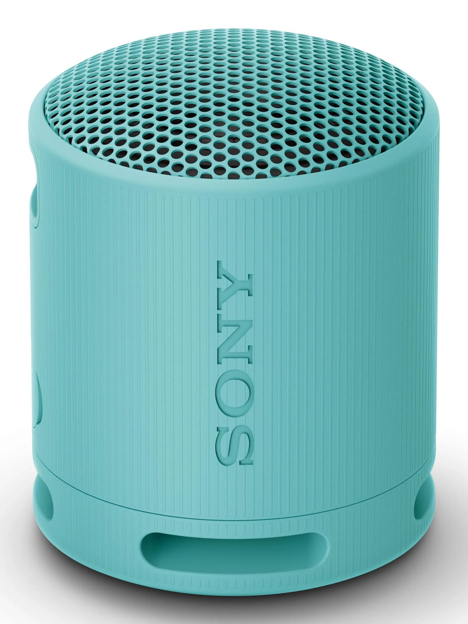 Sony SRS-XB100 - wireless speaker, blue