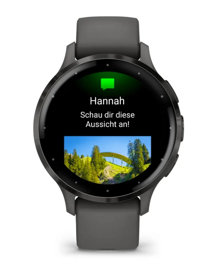 Garmin Venu 3S - smart watch, black sesame/slate