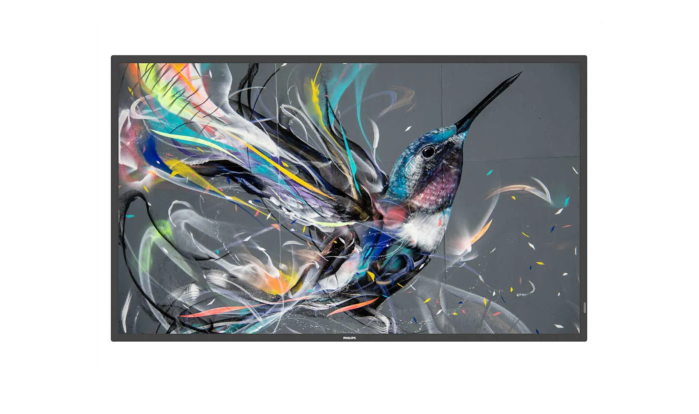 Philips 65" Direct LED 4K Display powered by An