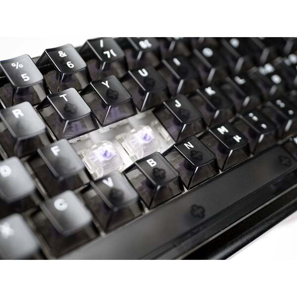 Arbiter Polar 65 HE mekaniskt speltangentbord, Fuji Dual-Rail Magnetic, svart