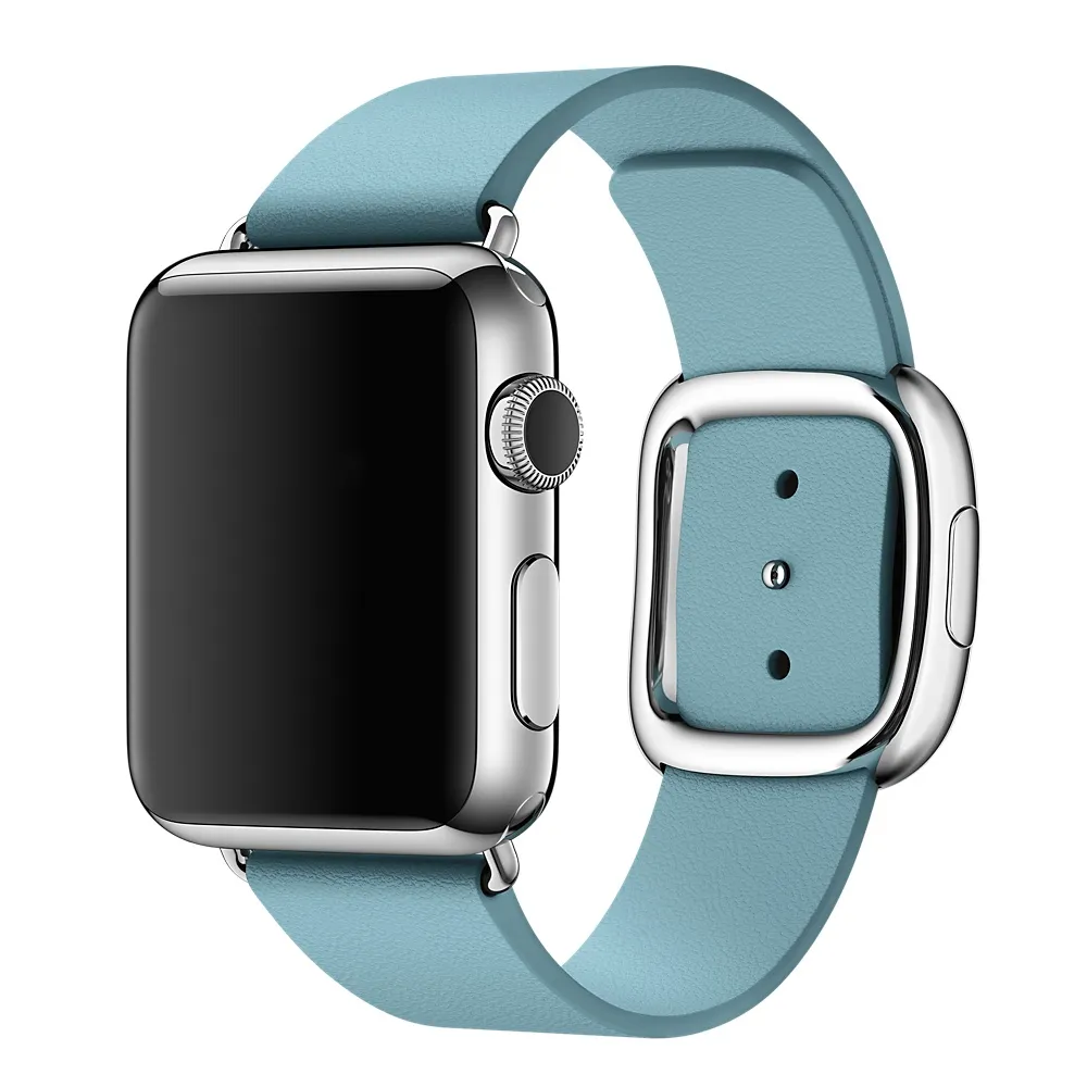 APPLE 38mm Blue Jay Modern Buckle - Large