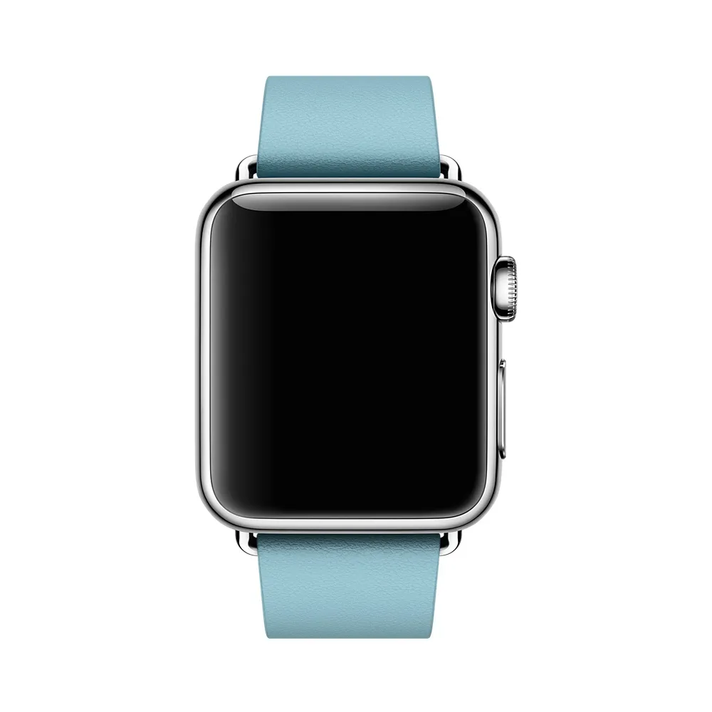 APPLE 38mm Blue Jay Modern Buckle - Large