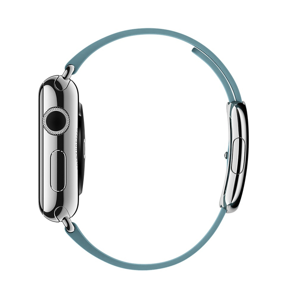 APPLE 38mm Blue Jay Modern Buckle - Large