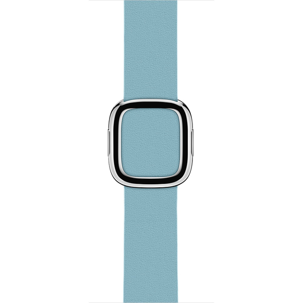 APPLE 38mm Blue Jay Modern Buckle - Large