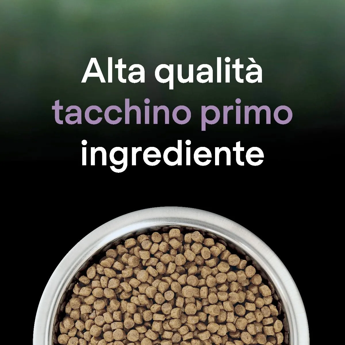 Purina Pro Plan LiveClear Kitten Turkey, Dry food for cats, 1.4kg