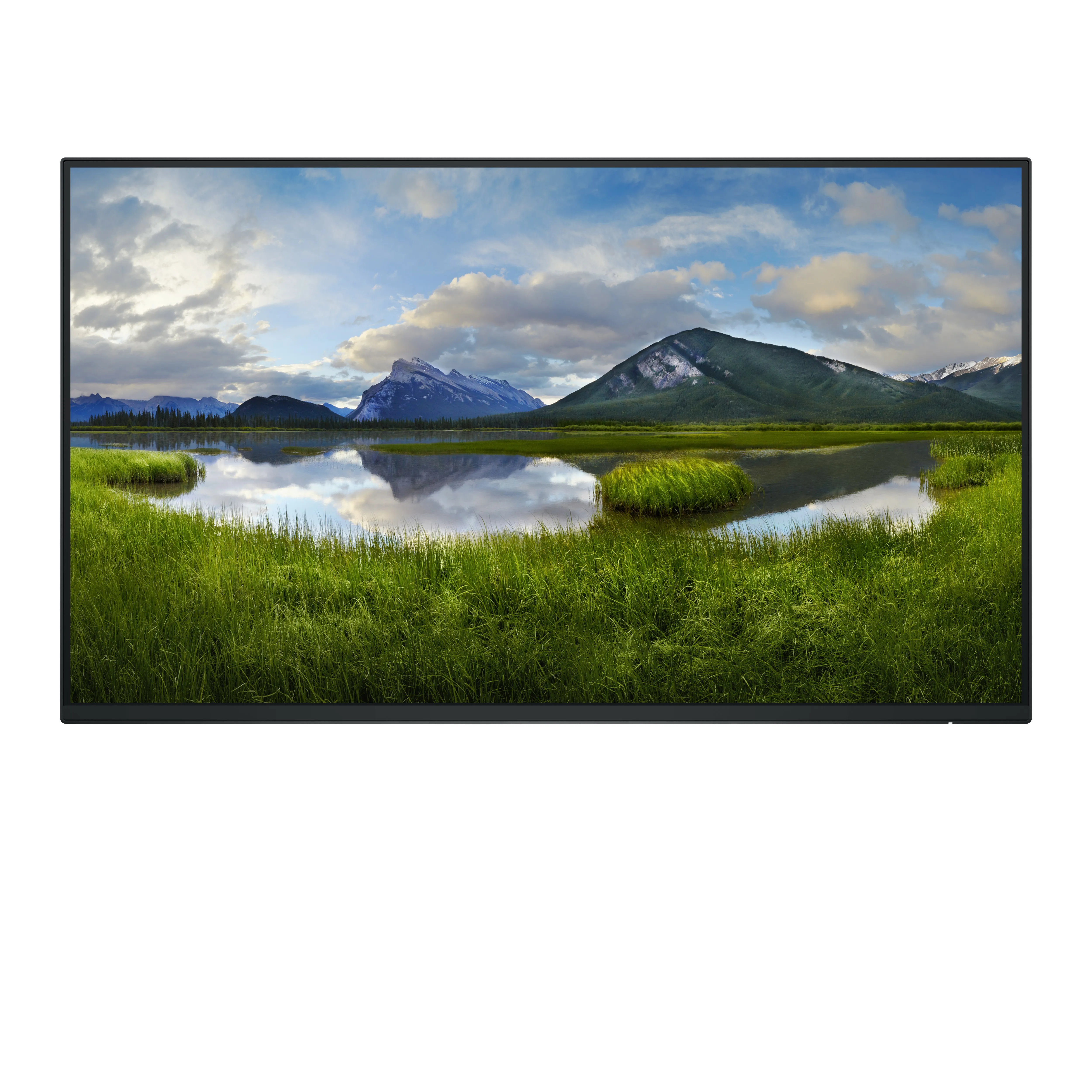 Dell Pro Plus P2425HE 24&quot; Full HD, USB-C hub, IPS - sk&auml;rm (no stand)
