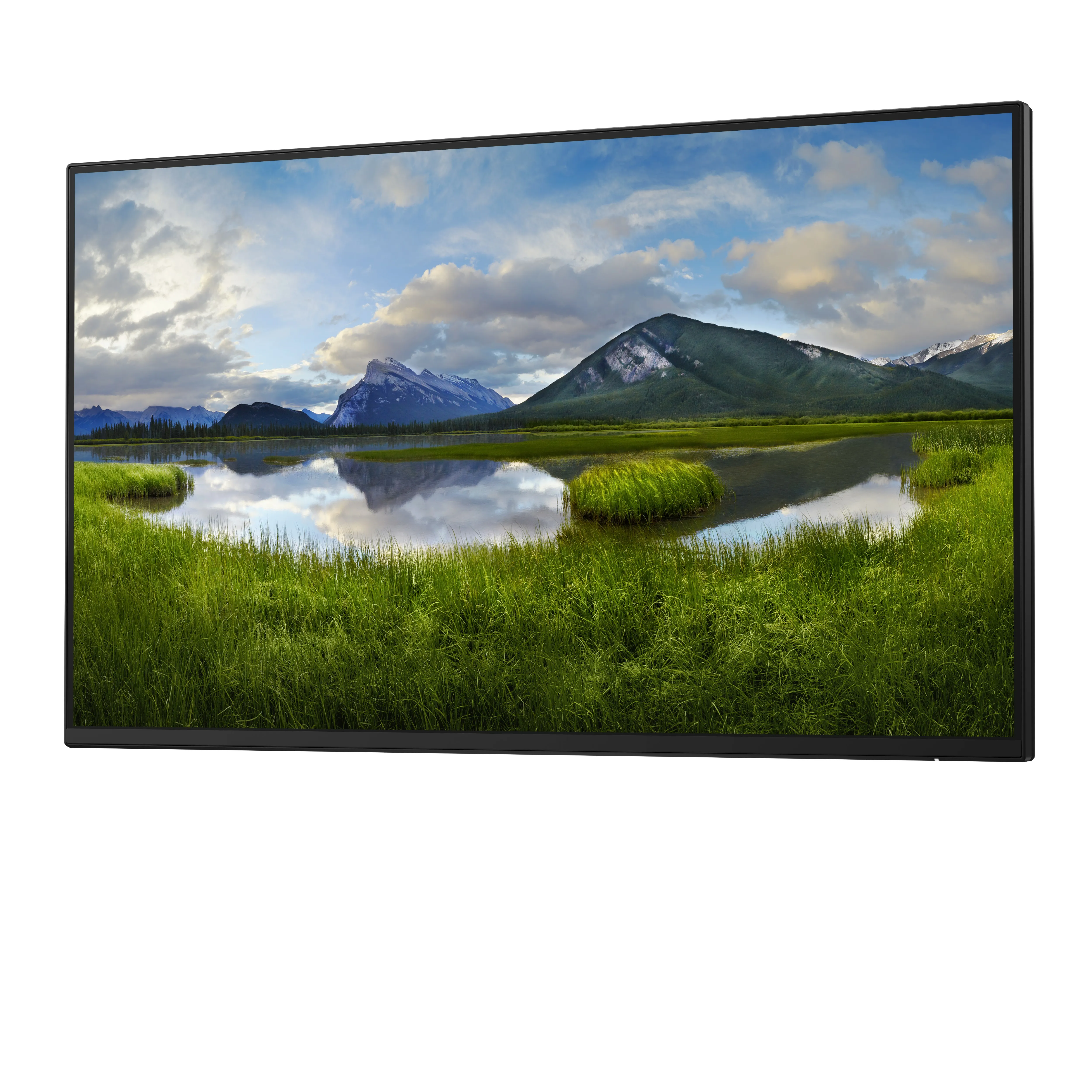 Dell Pro Plus P2425HE 24&quot; Full HD, USB-C hub, IPS - sk&auml;rm (no stand)