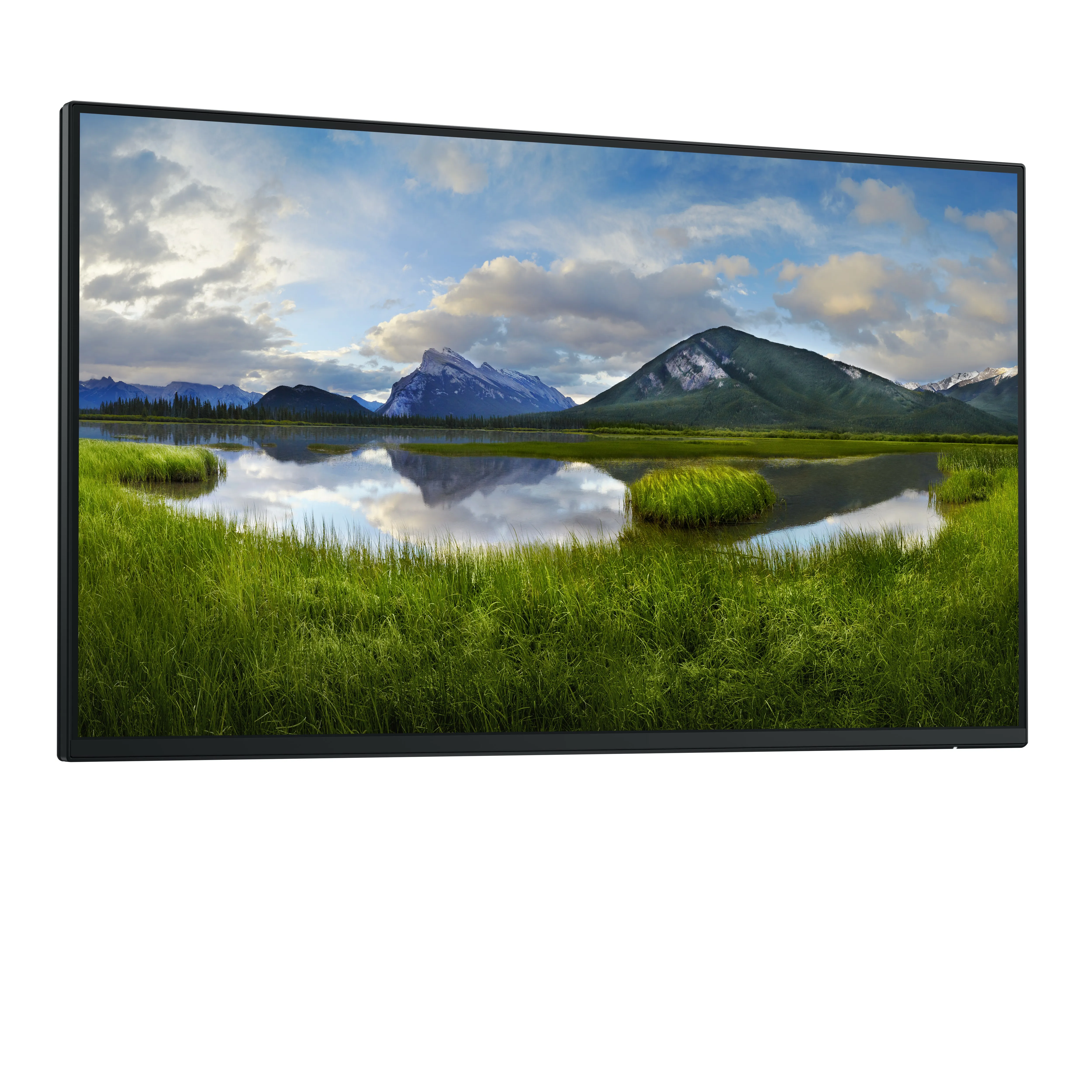 Dell Pro Plus P2425HE 24&quot; Full HD, USB-C hub, IPS - sk&auml;rm (no stand)