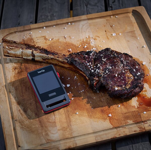 HerQs Pin PRO - meat thermometer