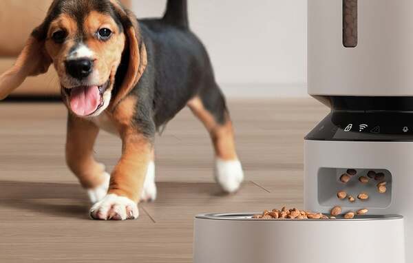 PETLIBRO Granary WiFi Automaattinen lemmikkien ruoka-automaatti 5 L Valkoinen