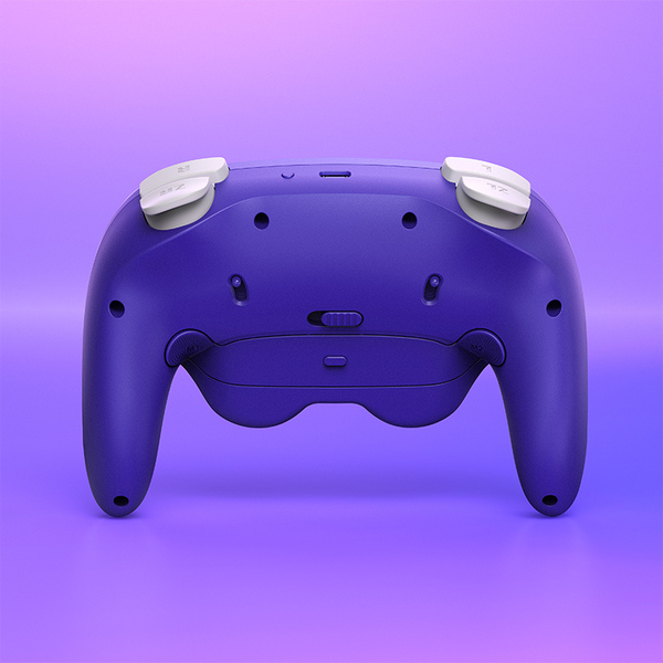 NYXI Warrior Switch 1 &amp; 2 Controller - wireless gaming controller, Purple