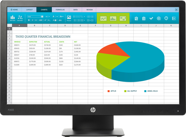 HP 20" ProDisplay P203, 1600x900px, TN - monitor