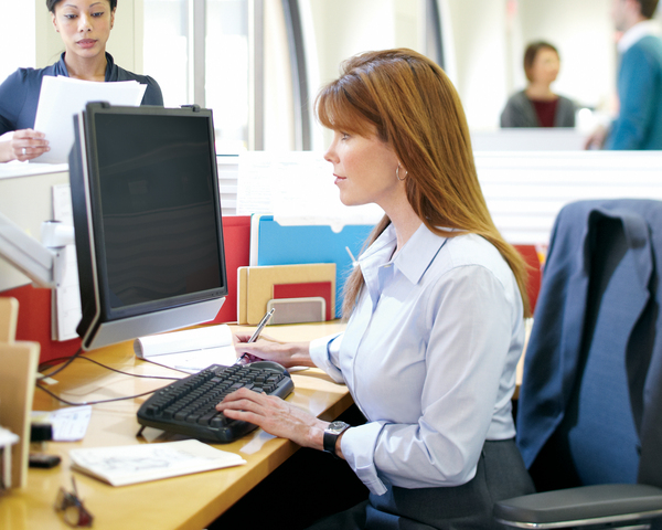 3M PF324W Privacy Filter (24")