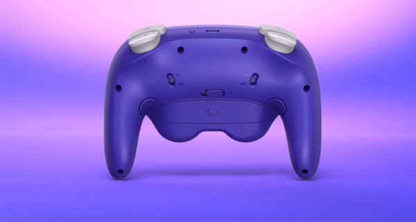 NYXI Warrior Switch 1 &amp; 2 Controller - tr&aring;dl&ouml;s spelkontroll, violet