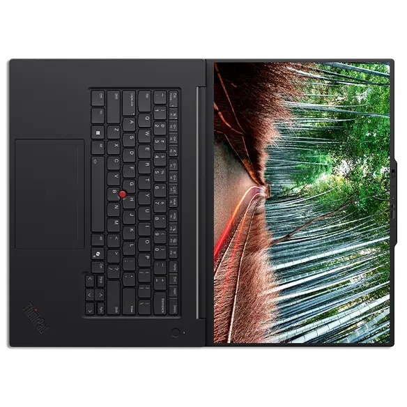 LENOVO ThinkPad P1 Gen 8