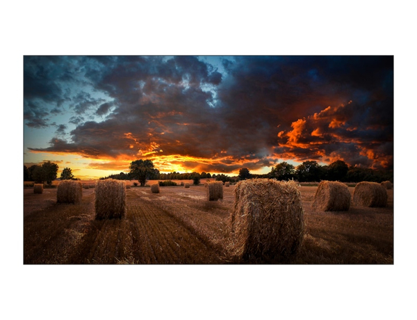 SAMSUNG 46" VM46T-U FHD 500 NITS 24/7 VIDEOWALL 3.5MM BEZEL