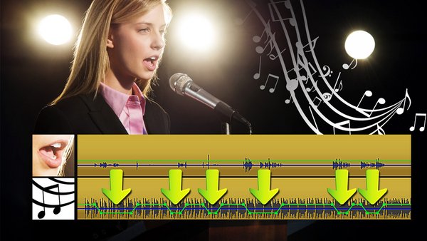 Corel Pinnacle Studio 19 Standard