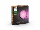 Philips HUE DAYLO WACA WALL LANTERN BLACK 1X15W