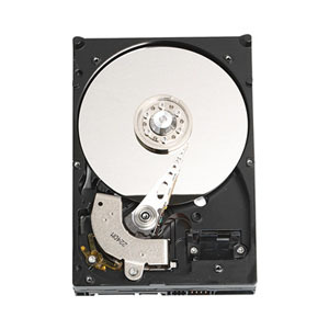 CAVIAR 250GB SATA3GB/S 7200RPM 8MB