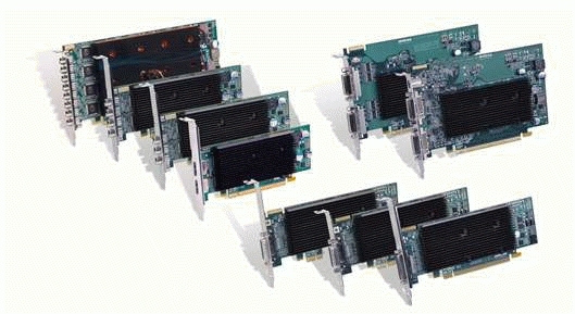 Matrox M9128 LP 1GB - grafikkort