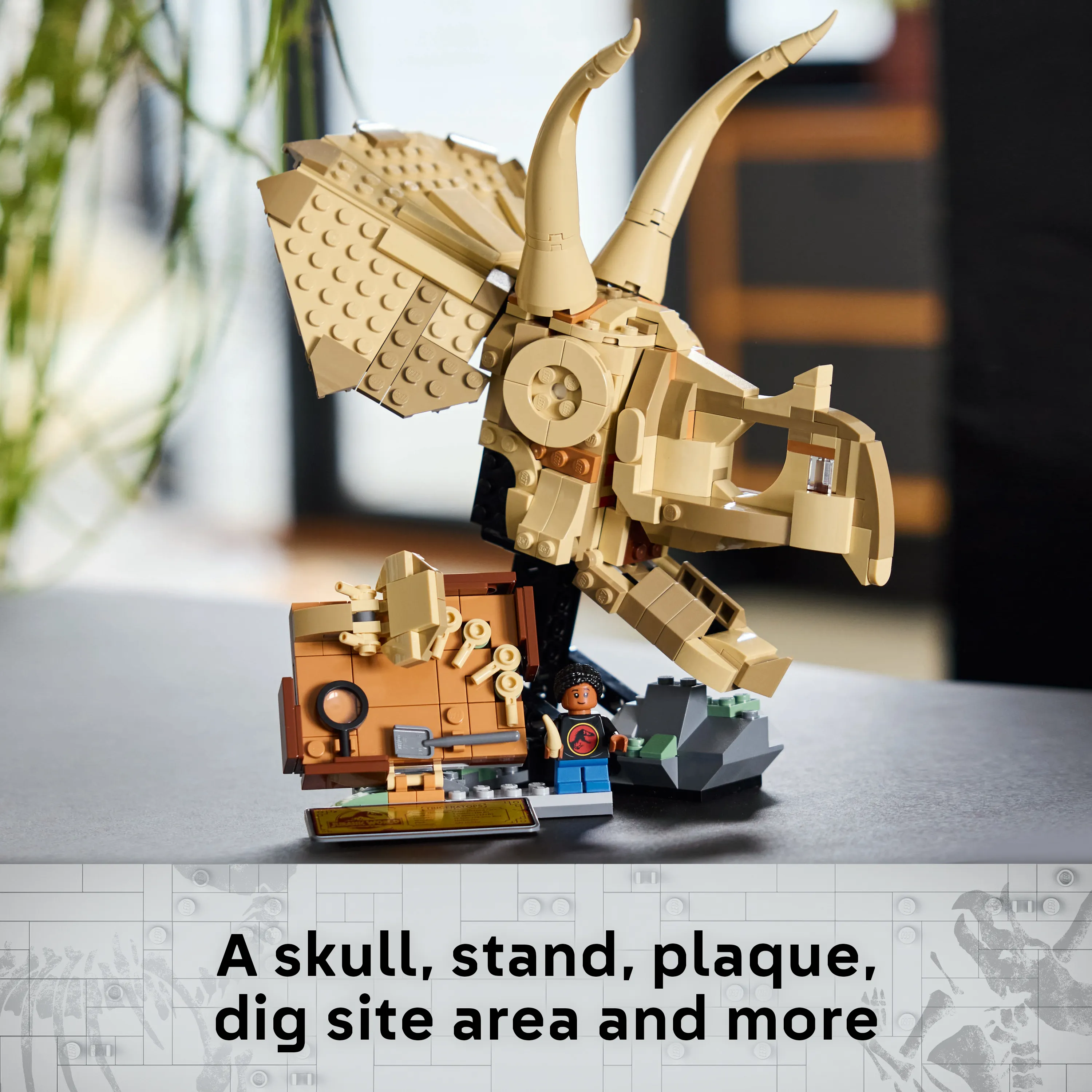 LEGO Jurassic World Dinosaur Fossils: Triceratops Skull 76969