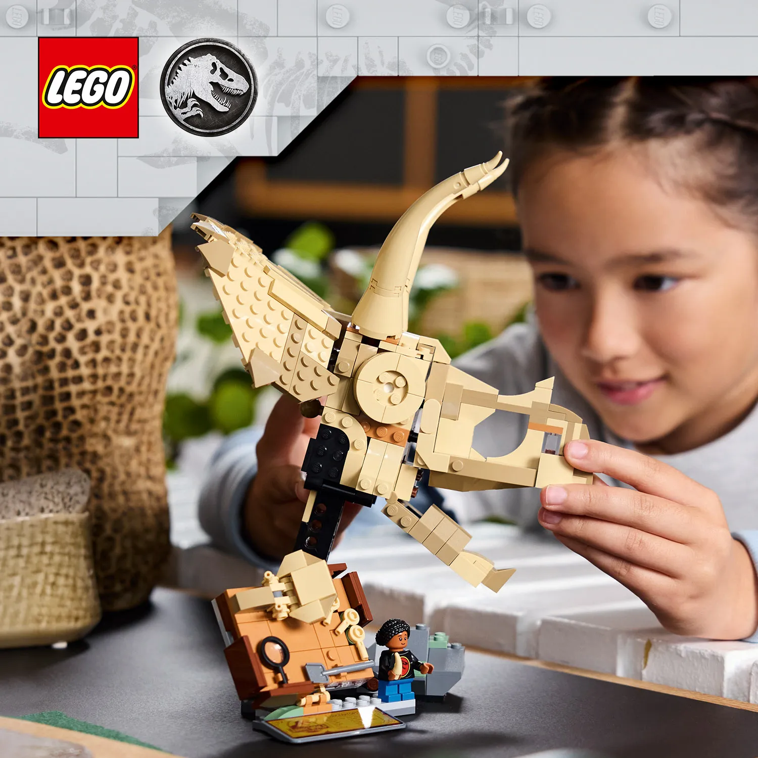 LEGO Jurassic World Dinosaur Fossils: Triceratops Skull 76969
