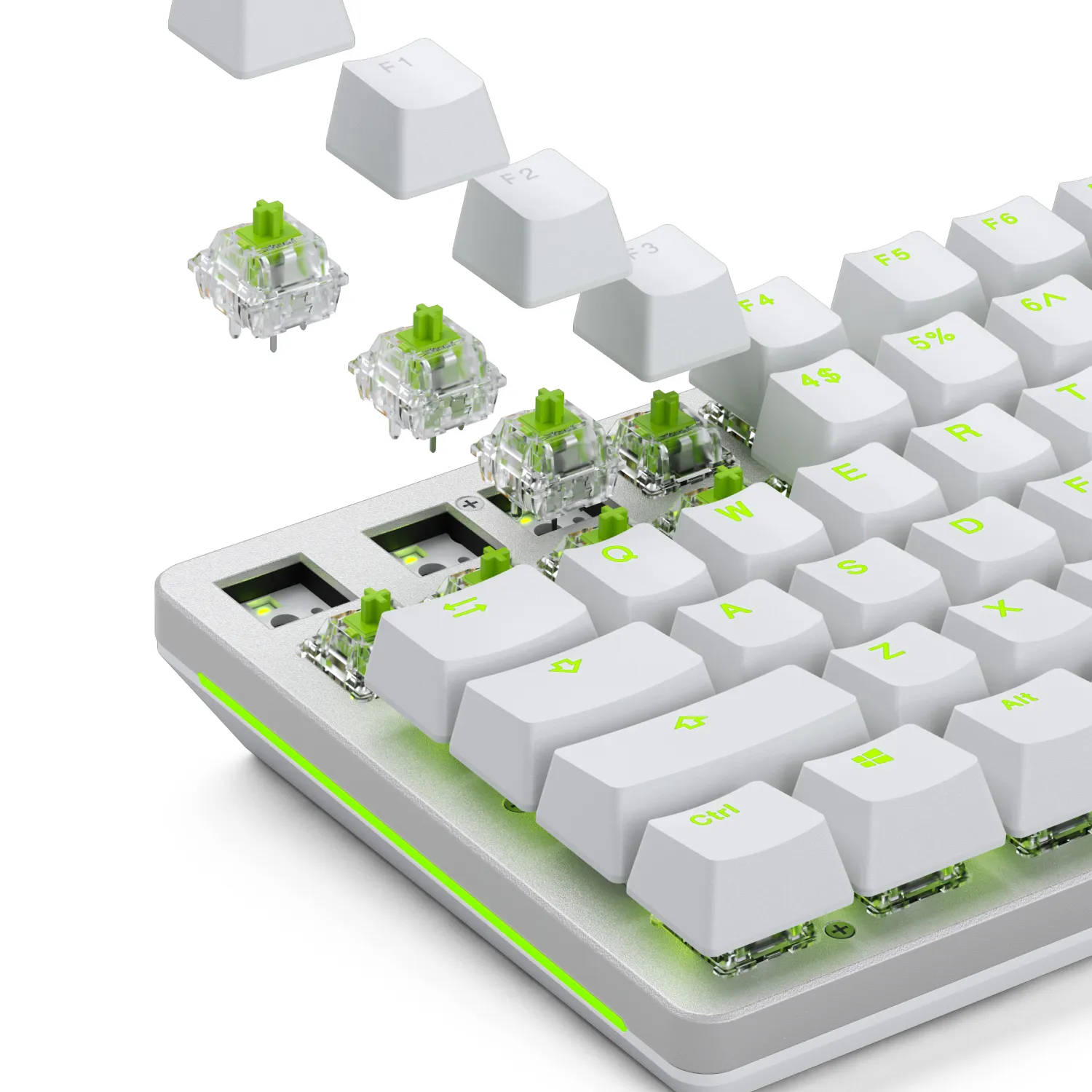 Glorious Raptor Switches Standard MX style stem - switches, 36 pcs