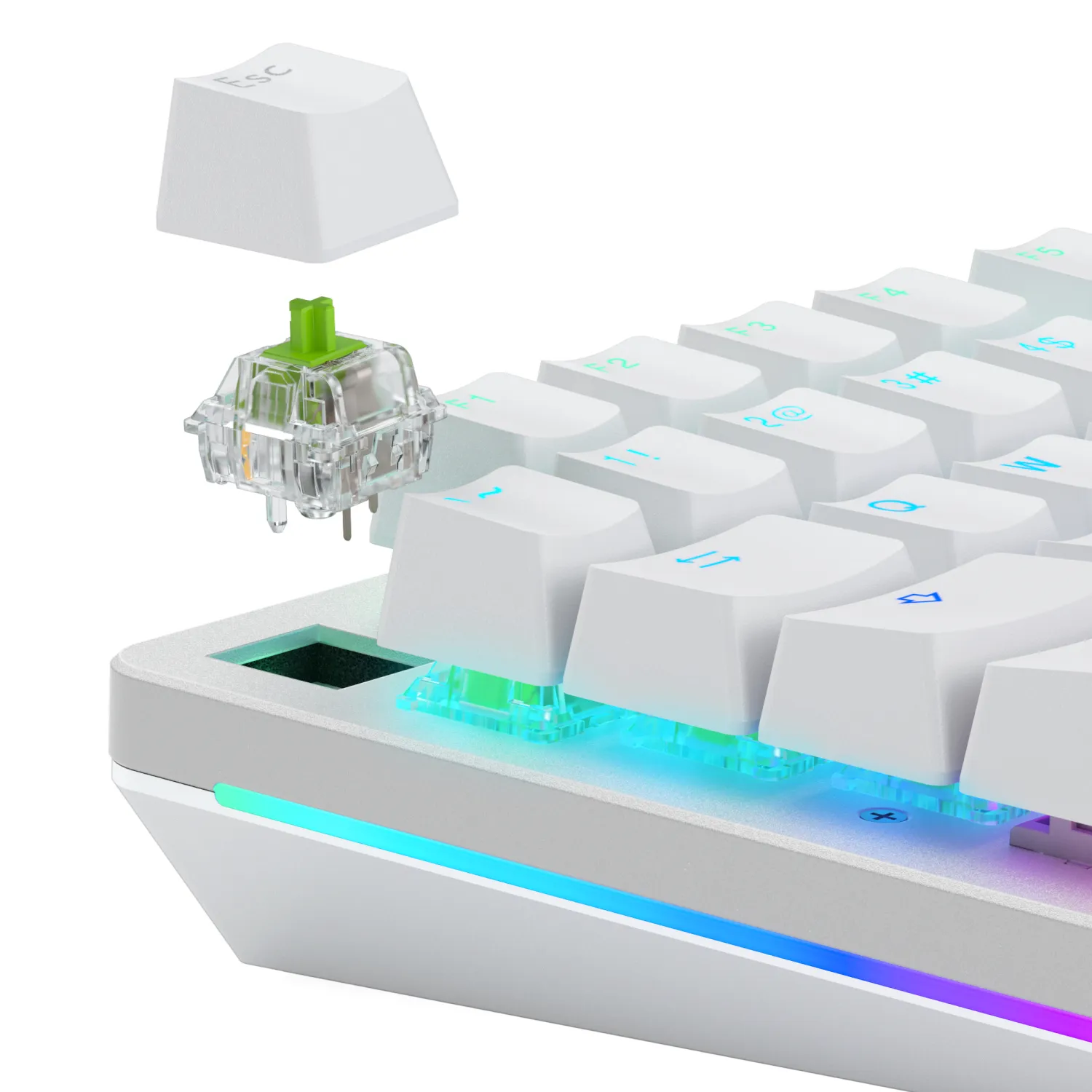 Glorious Raptor Switches Standard MX style stem - switches, 36 pcs