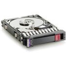 HP 300Gb SAS 10K 6G 2.5 DP HDD
