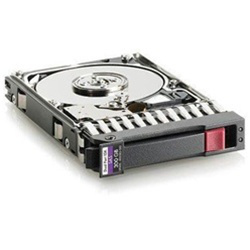 HP 300Gb SAS 10K 6G 2.5 DP HDD