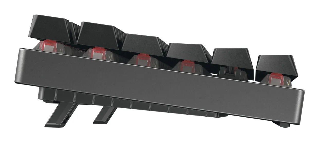 Cherry MX 8.2 TKL MX2A Red - wireless gaming keyboard, Black