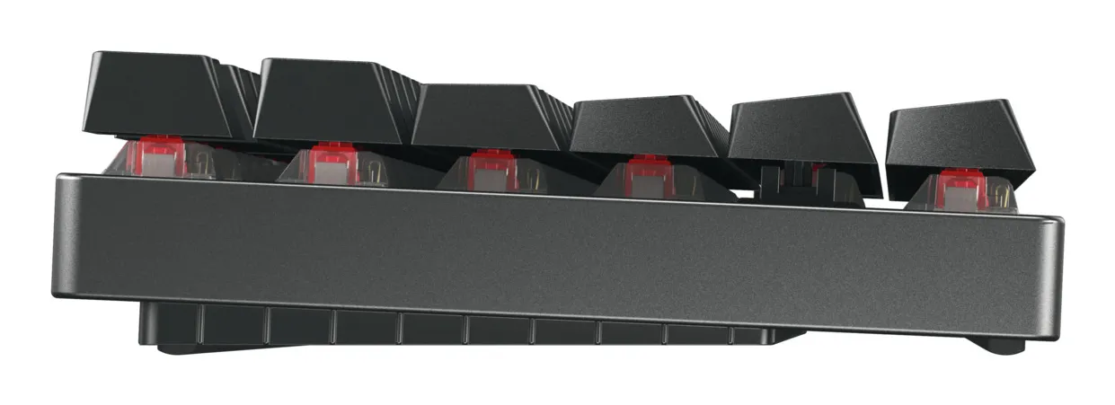 Cherry MX 8.2 TKL MX2A Red - wireless gaming keyboard, Black