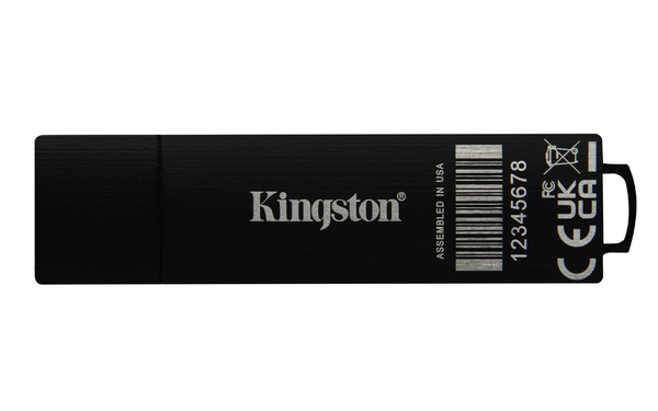 Kingston IronKey Managed D500SM AES-256 256 GB USB 3.2 Gen 1x1 - minne, Svart